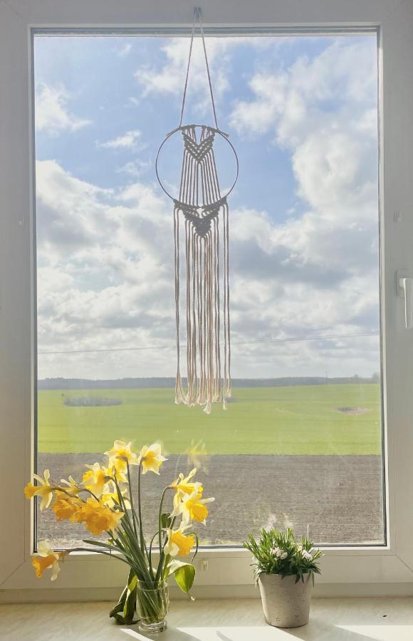 "Mts-Haus Zettemin" - 2 Familienfreundliche Ferienwohnungen In Mecklenburg Exterior foto